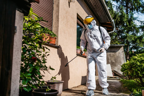 Best Best Pest Control Companies  in Flowood, MS