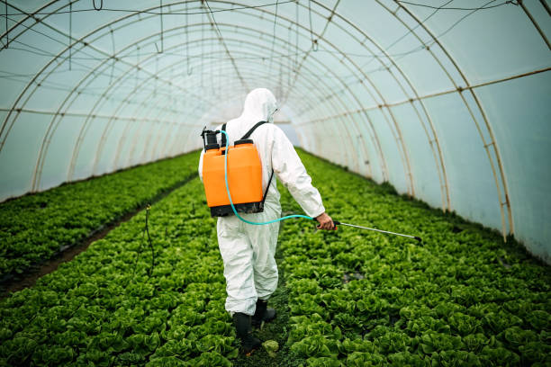 Best Local Pest Control Services  in Flowood, MS